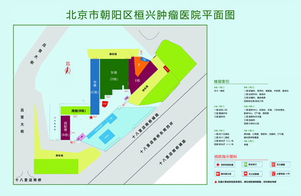 操鸡巴小网页北京市朝阳区桓兴肿瘤医院平面图